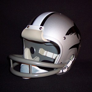 74 WFL Jacksonville Sharks Suspension Football Helmet  