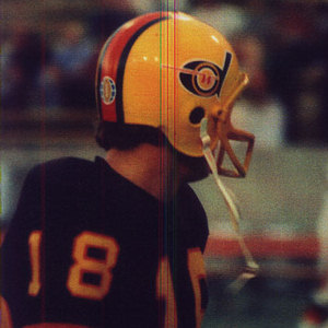 Image result for detroit wheels football helmet